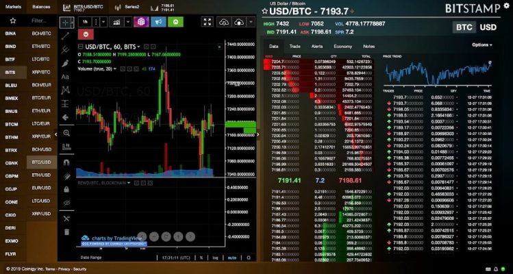 crypto asset recovery lawyer Canada vs recovery services