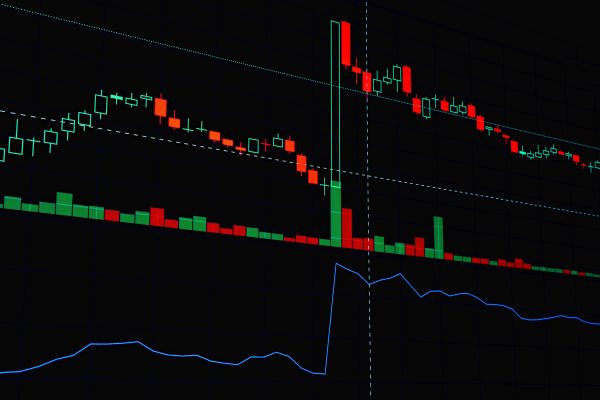 Blockchain Forensik durch einen Krypto Advokat